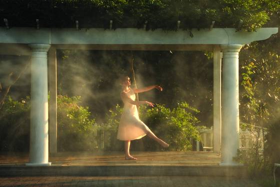 Elegance_at_dawn