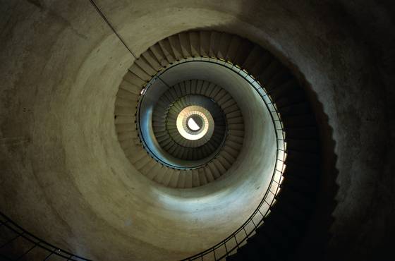 Nautilus