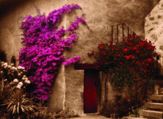 The_door