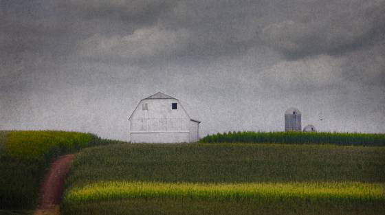 Amish_farm