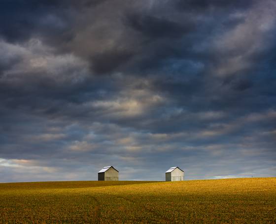 Kentucky_fields