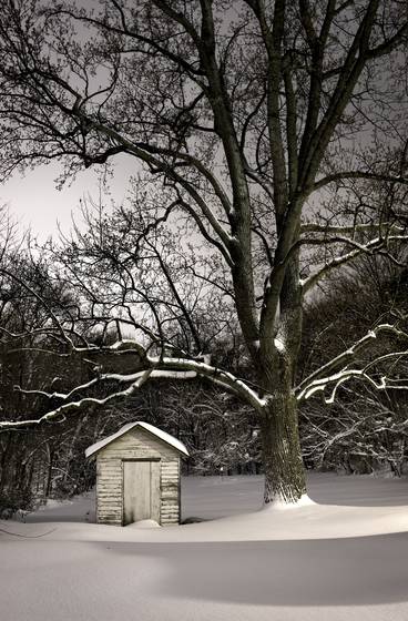 Shed_in_winter
