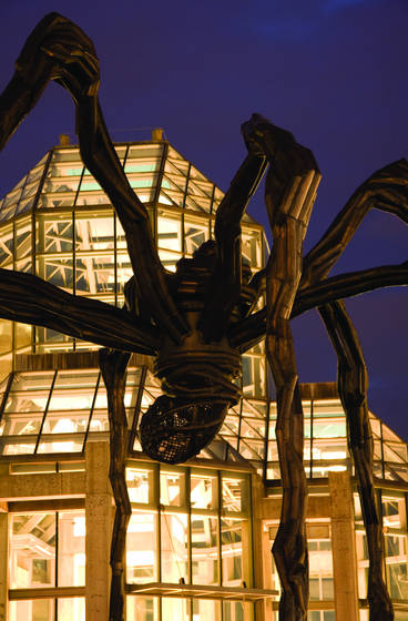 Itsy_bitsy_spider