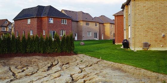 Suburbia_c