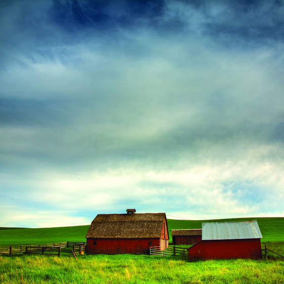 Palouse_barn