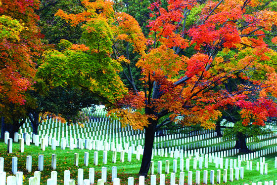 Home_of_heroes
