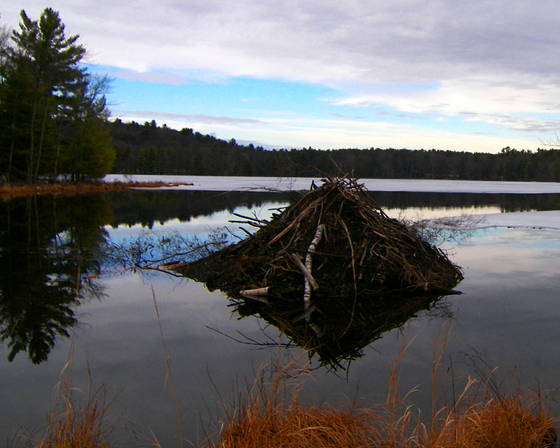 Subscribe to the Best Magazine About Fine Art Photography!