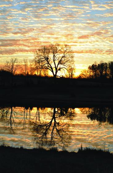 Dawning_across_the_pond