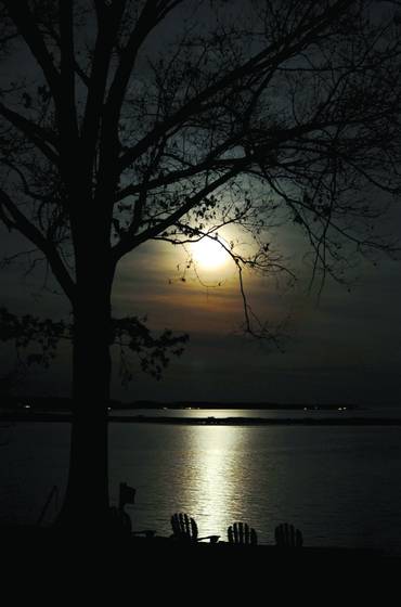 Moonlight_dream