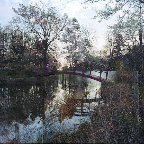 Bridge