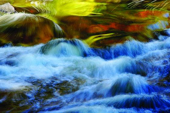 Gold_rush