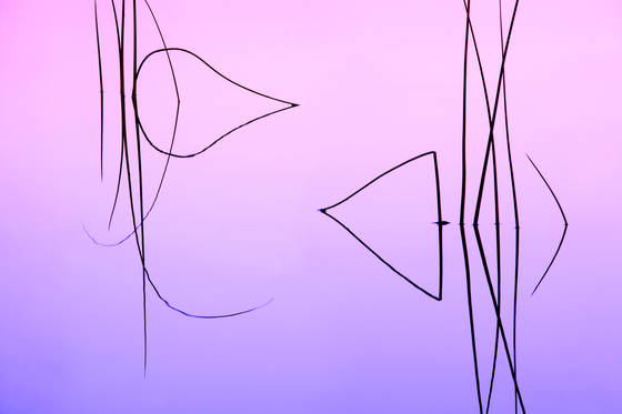 Reeds_01