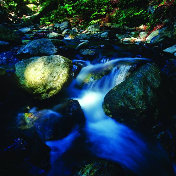 Esalen_stream