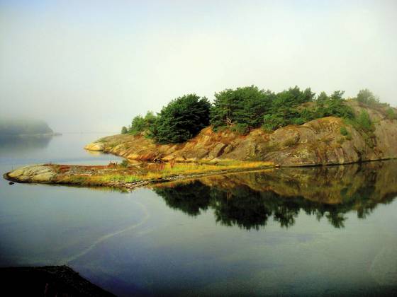 Floating_island