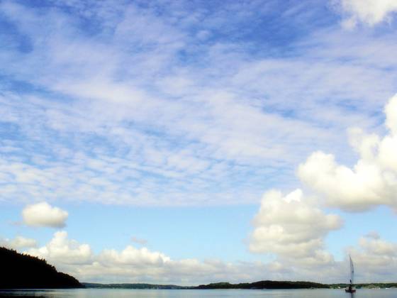 Under_blue_skies