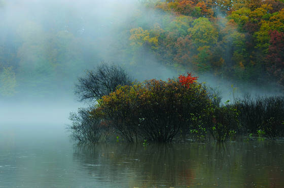 Softly_floating