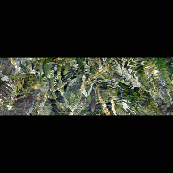 Sea_grass