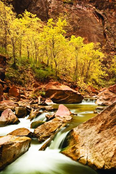 Zion