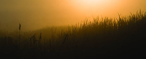 Early_morning_at_the_refuge