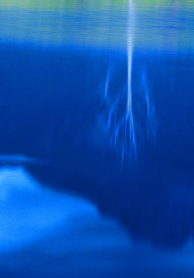 White_tree_reflection