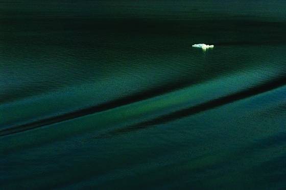 Satin_sea