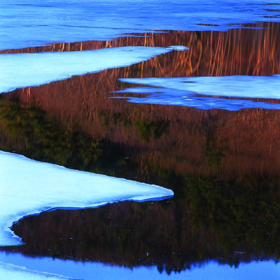 Barretts_cove