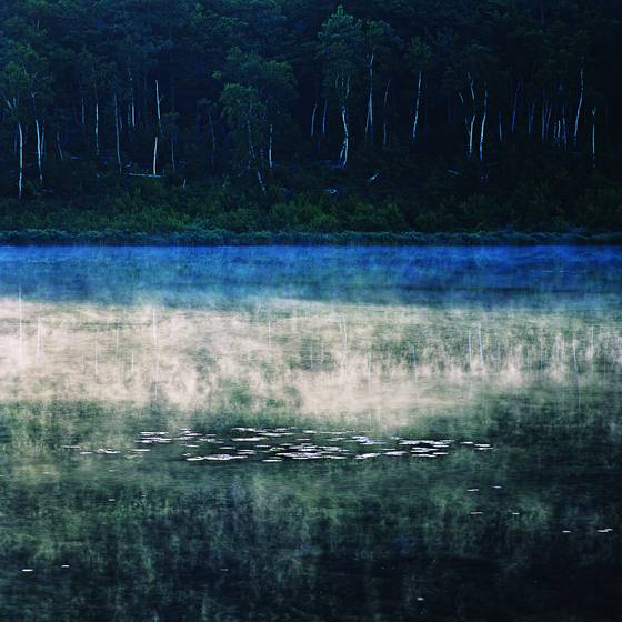 The_tarn