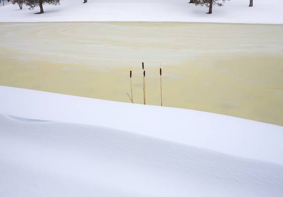 Frozen_pond