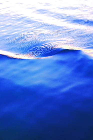 Untitled_1