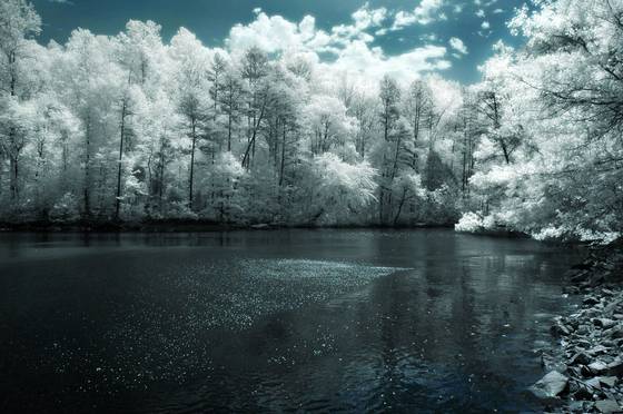 North_wind_cove_2