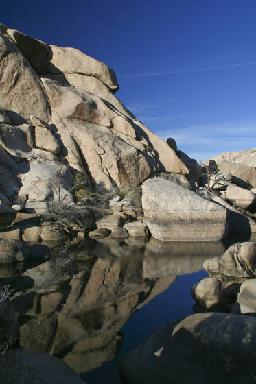 Reflection