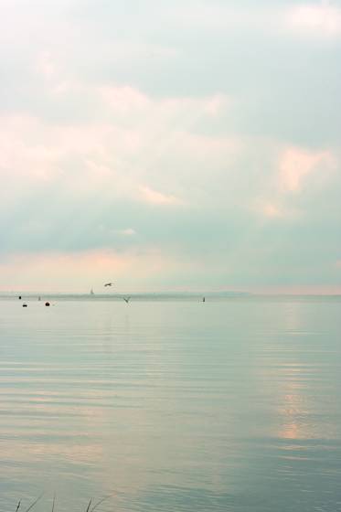 Homage_to_whistler