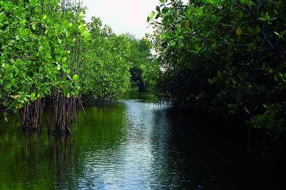 Canal