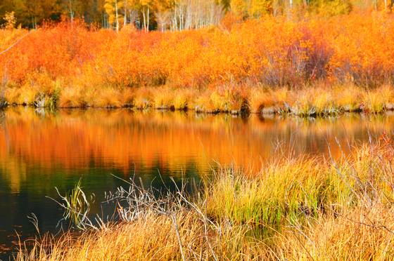 Fall_reflections