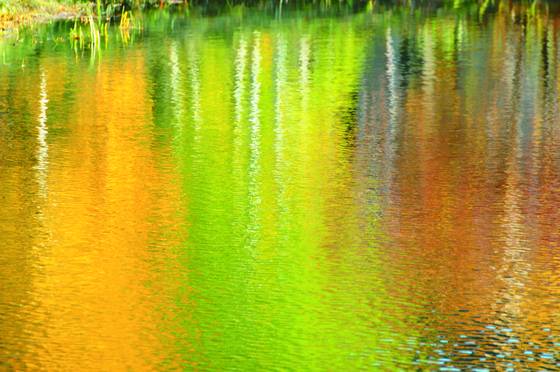 Reflections_of_fall_aspens