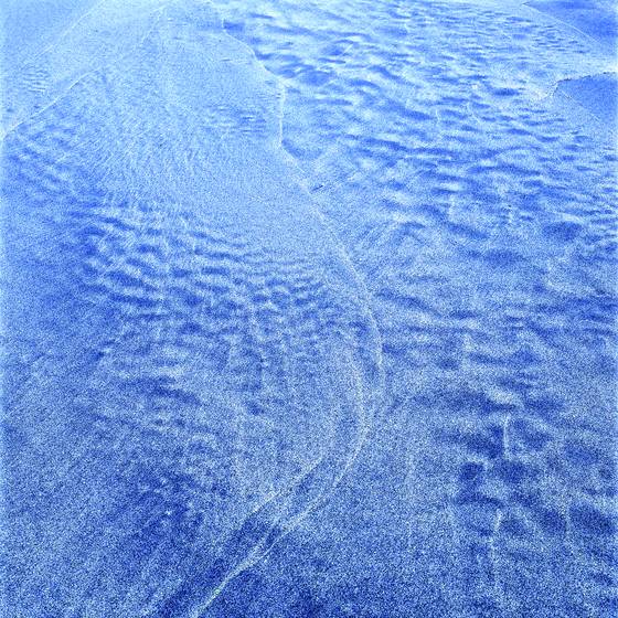 Ephemeral_beauty