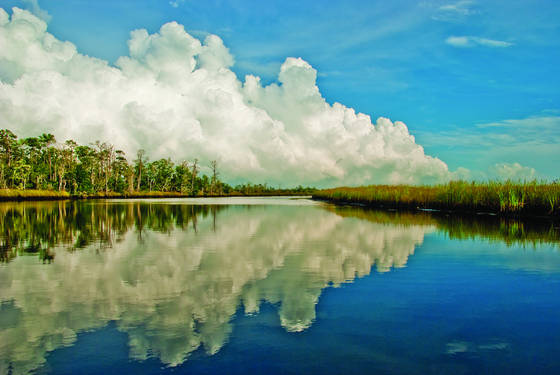 Ochlockonee_river_after_summer_storm