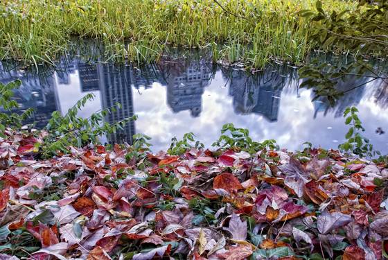 Reflections