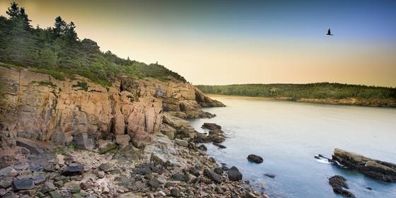 Rocky_shoreline