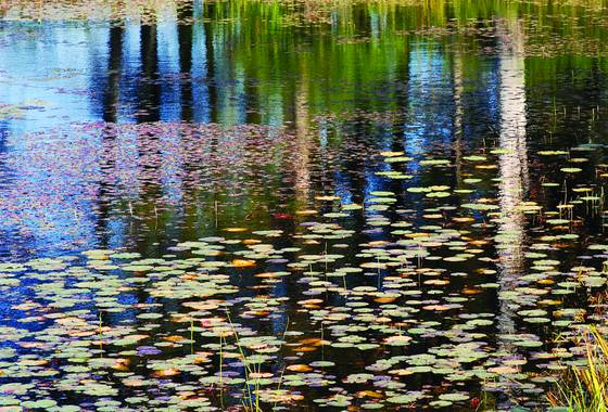 Floating_garden