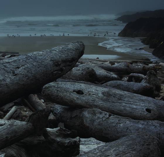 Cape_perpetua