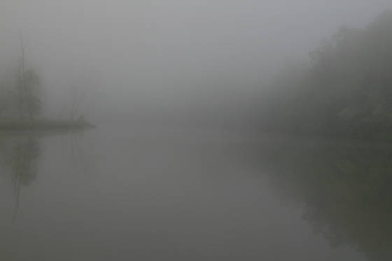 Untitled_1_mouth_of_wilson