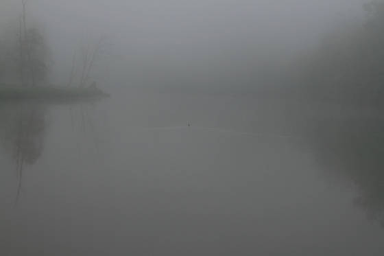 Untitled_2