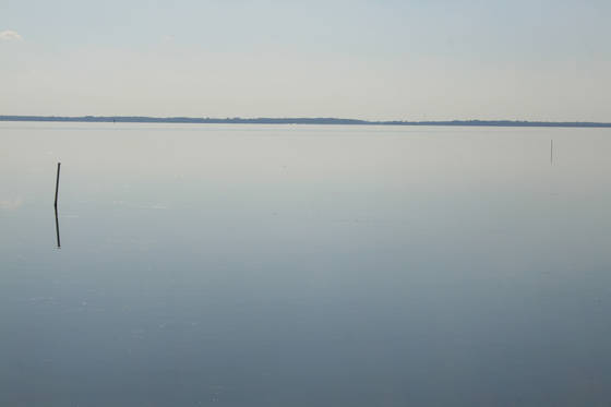 Untitled_5