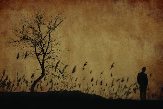 Solitude
