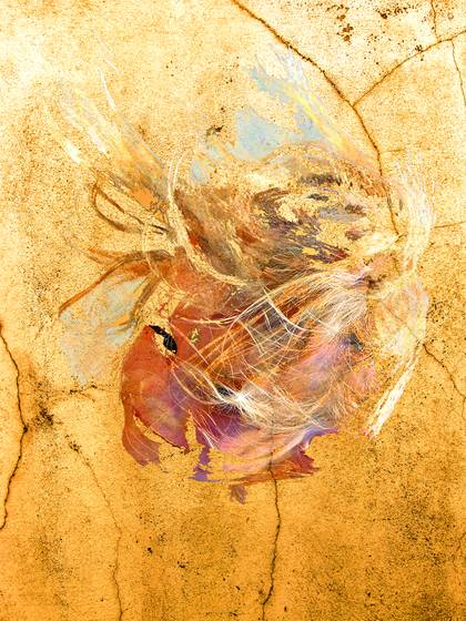 Fresco_raven