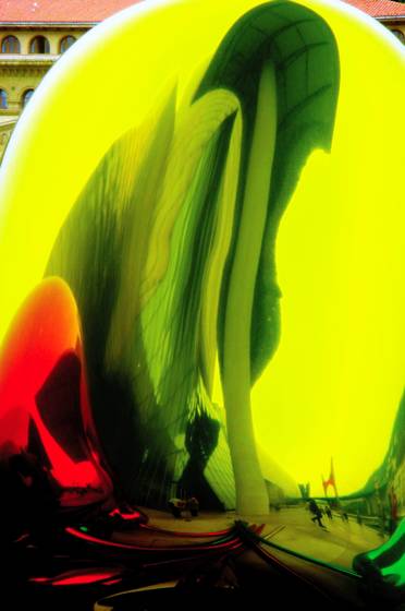 Giant_tulips