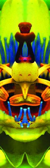 Alien_passion