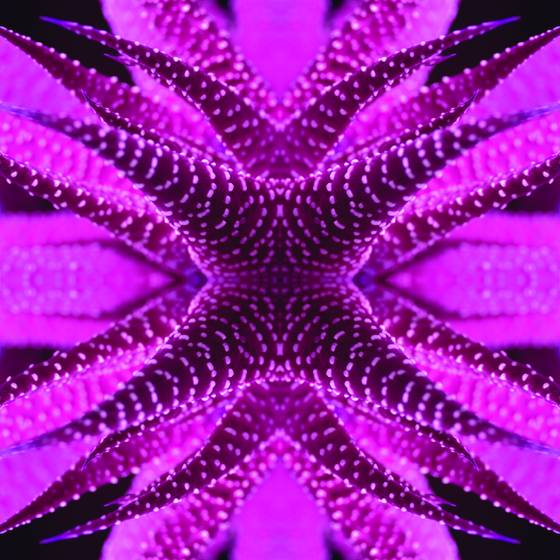 Alien_tentacles