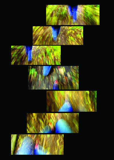 Walk_in_the_woods